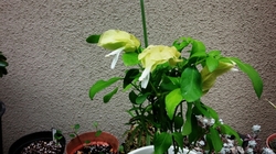 20160702191902308.jpg