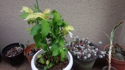 20160702191915174.jpg